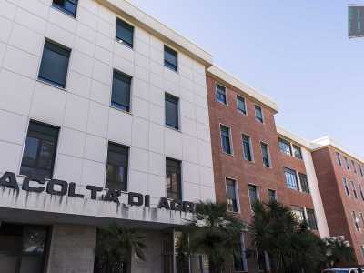 Siamo ora davanti al dipartimento di Agraria, la zona pi� antica del Campus: da queste parti infatti i primi esami sono stati dati a partire dall'anno accademico 1952-1953. La struttura ha una curiosa forma a U con la facciata principale formata da quadranti bianchi e ai lati delle pareti color rosso pastello